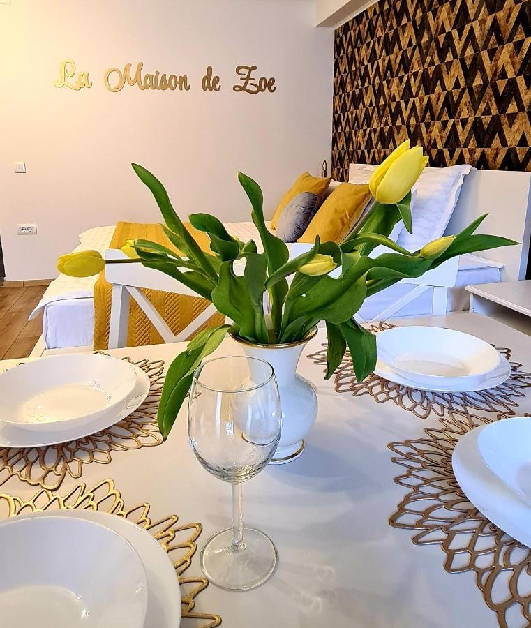La Maison De Zoe - Airport Residences Otopeni Eksteriør billede